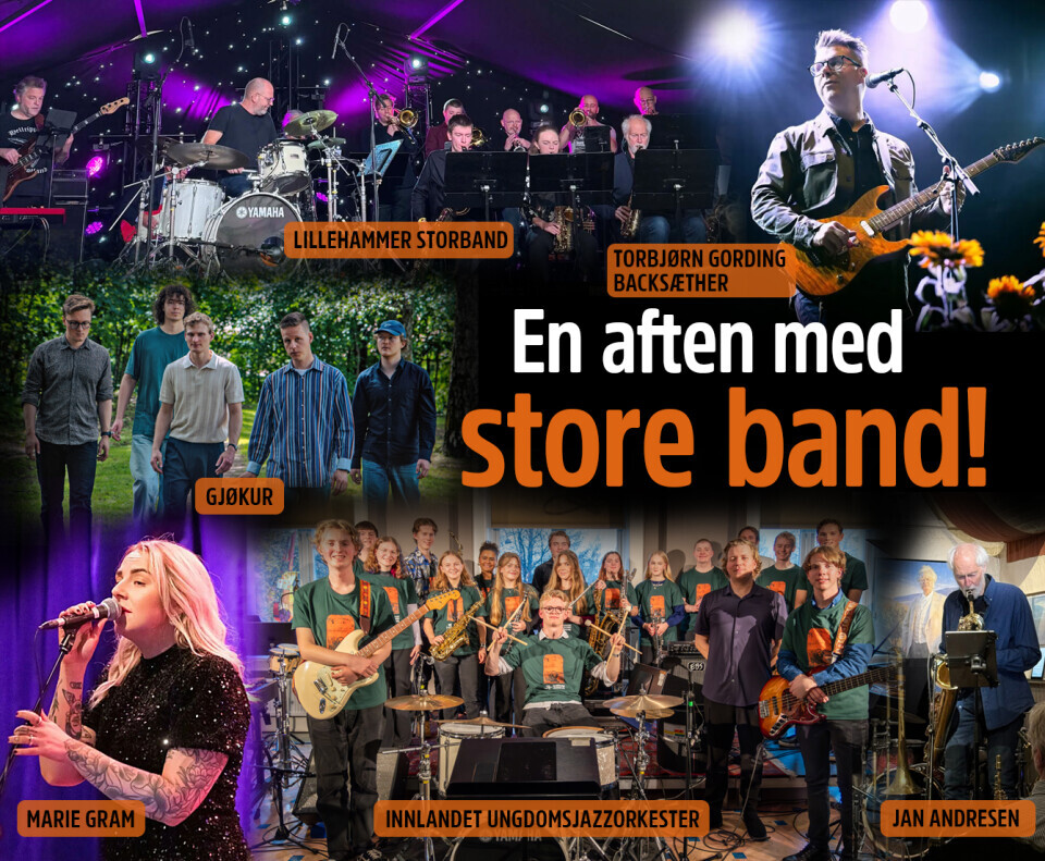 Storbandaften